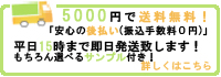 5250�߰ʾ塡����̵��